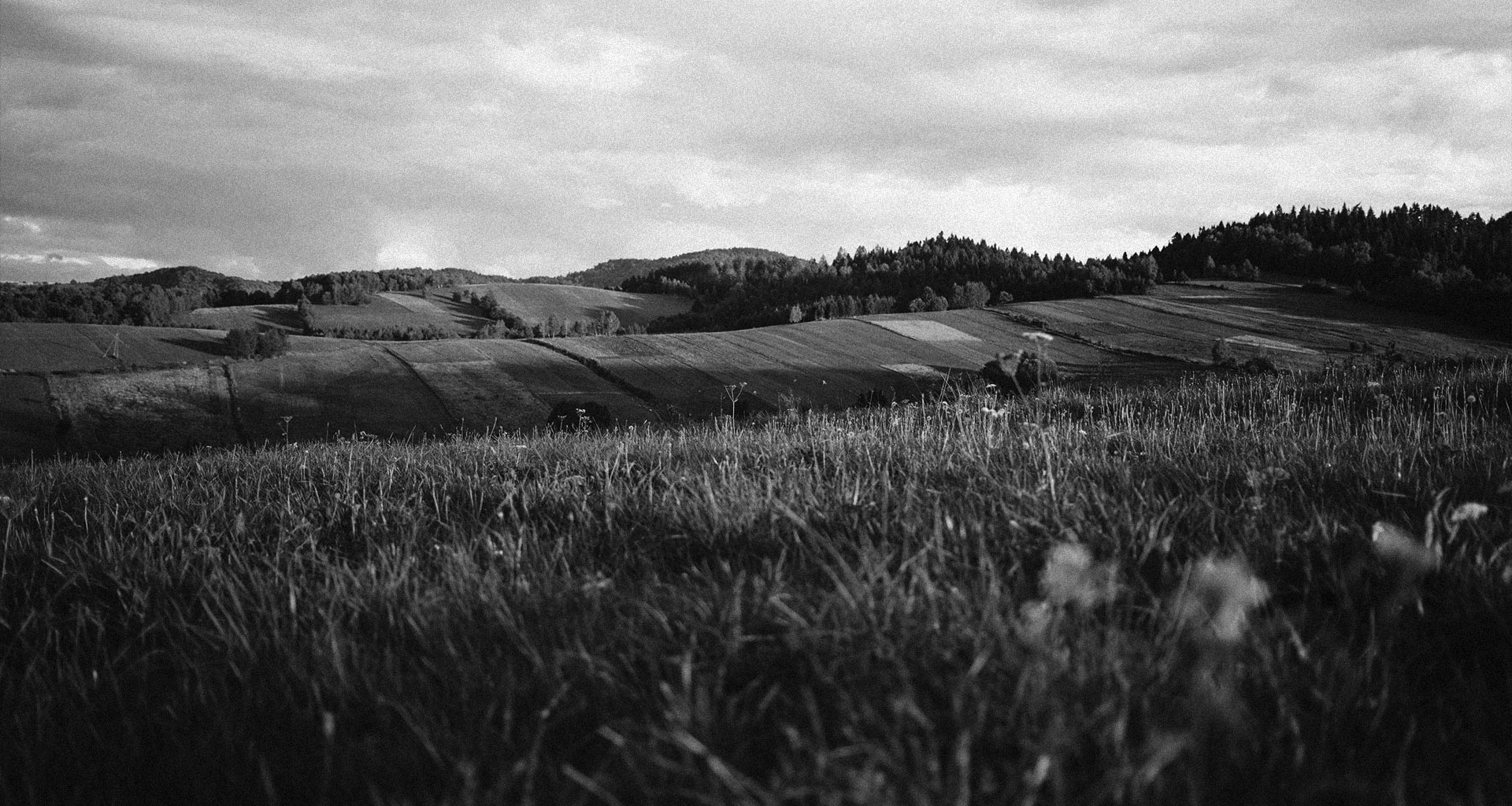 natura polska restauracja